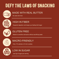 Sweet Logic Mini Cookies - Chocolate Chip Cookies - Nut Free - Gluten Free Snacks - Keto - High Fiber - Non-GMO - Low Sugar - Low Carbs - Diabetic & Gut Friendly Desserts