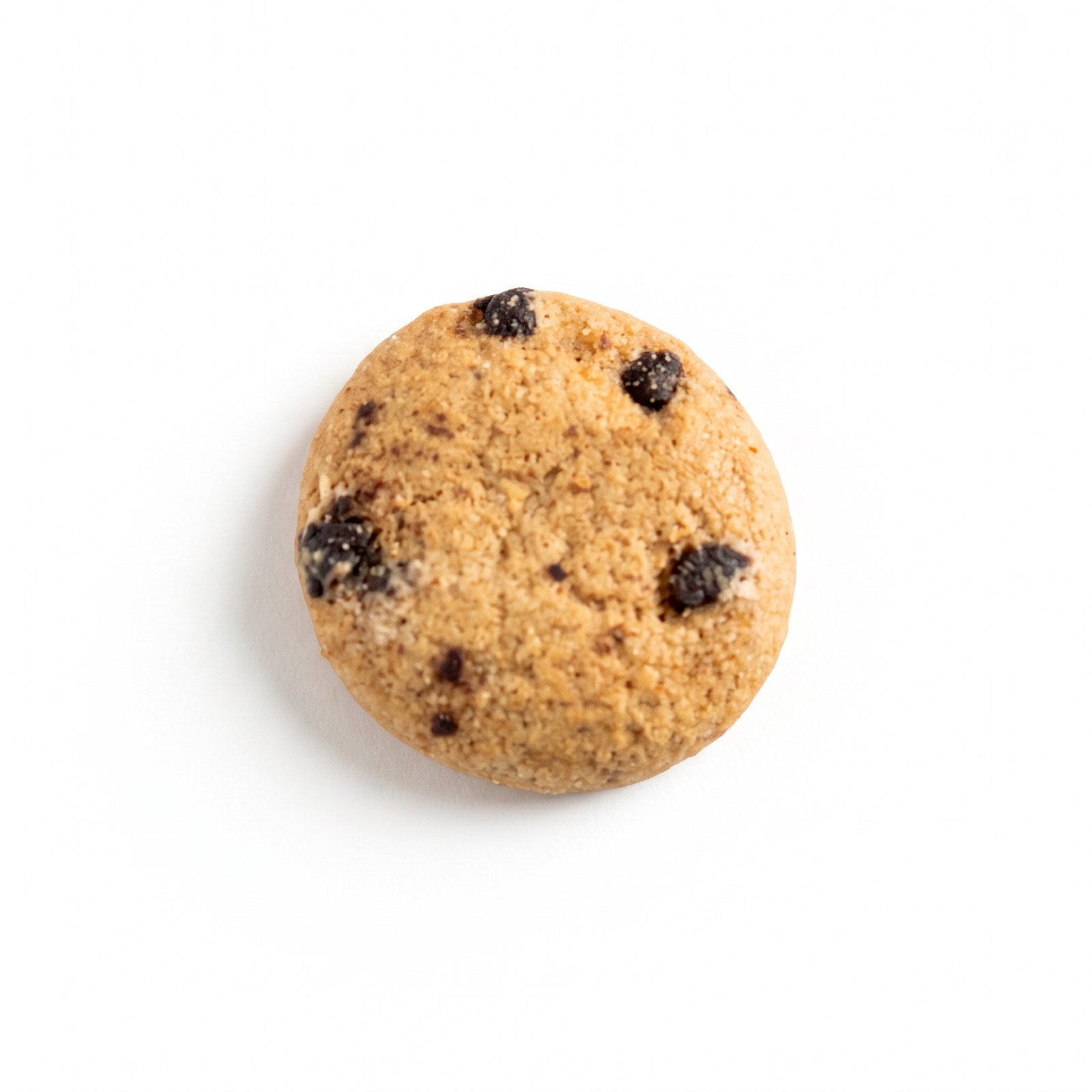 Sweet Logic chocolate chip mini cookie