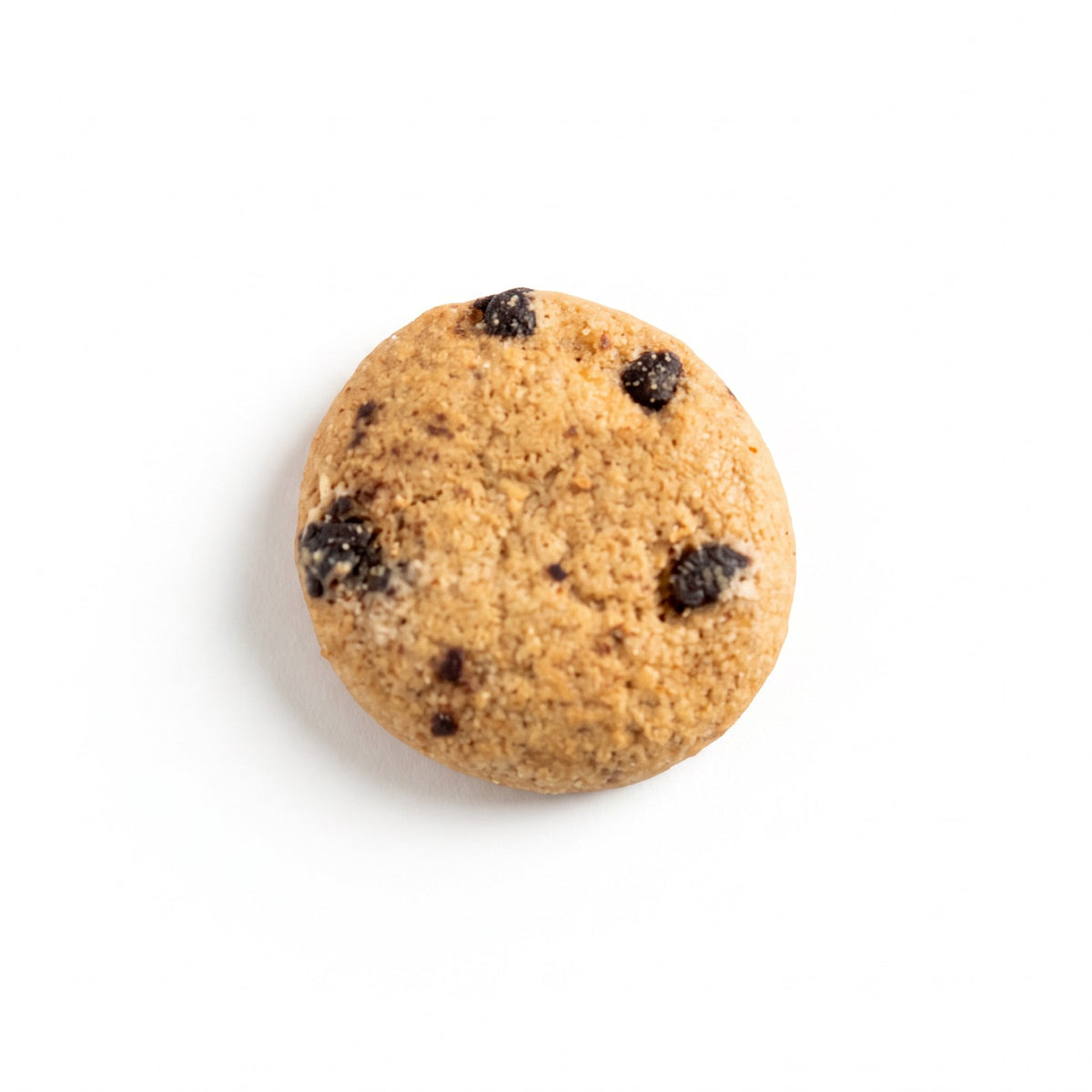 Sweet Logic chocolate chip mini cookie