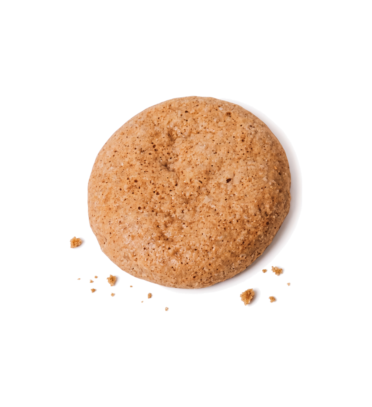 Cinnamon Churro mini cookie